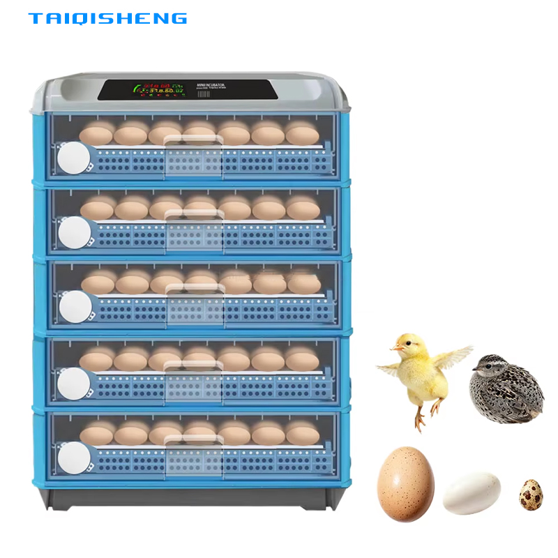 Automatic Intelligent 500 Egg  - Power Supply 12V review and price
