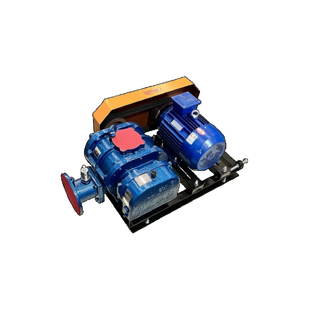 High-Power Roots Blower for Fi - Ac Power Supply review and price